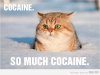 Cocaine!77148_700b.jpg