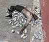 Louis-Loves-Pills.jpg