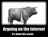 arguing-on-the-internet-bra-on-teats-on-bull-demotivational-poster-1281570485.jpg
