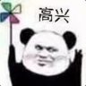肥肥